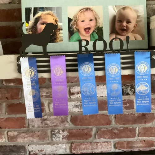 Pet Award Hanger Monogram - 12 Rungs for medals & Ribbons, metal sign, art, wall decor photo review